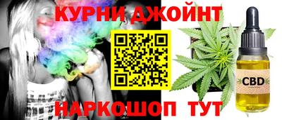 мяу мяу мука Аргун