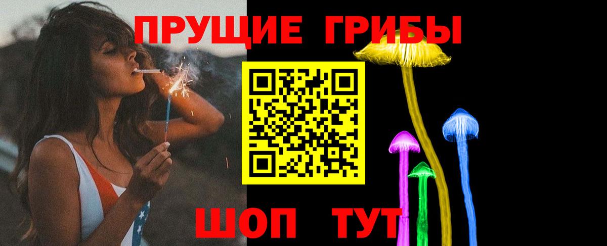 Воронеж  Псилоцибиновые грибы GOLDEN TEACHER  Вход с VPN 
