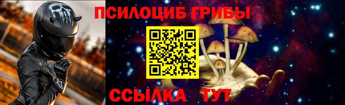 Псилоцибиновые грибы GOLDEN TEACHER Воронеж